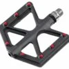 Absolut Plattformpedal D213 Carbon -Fahrradausrüstung absolut plattformpedal d213 carbon